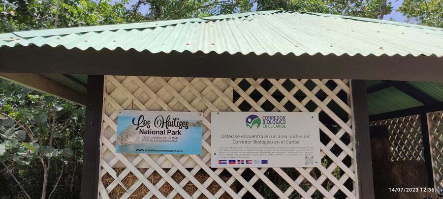 Private: Los Haitises & Cayo Levantado from Samana - Who will enjoy this Samaná excursion most?