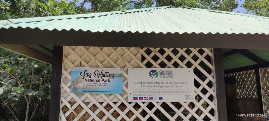 Private: Los Haitises & Cayo Levantado from Samana - Should you book it?