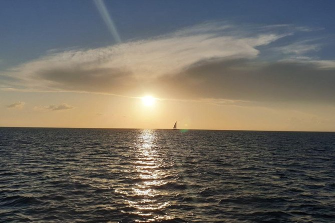 Private Luxury Catamaran - Saona or Catalina island - The crew and the service level