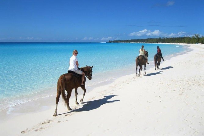 Private Macao Beach horseback riding in punta cana and Bayahibe - Key points at a glance