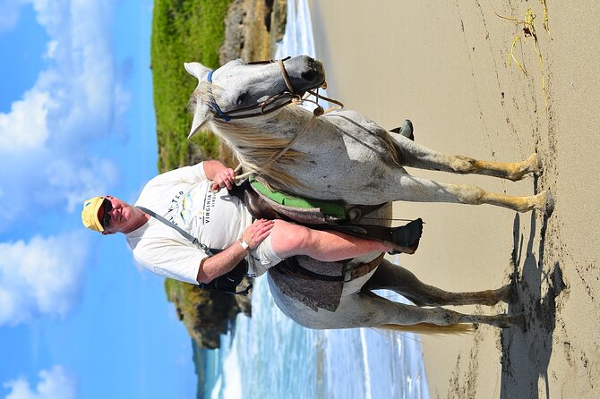 Private Macao Beach horseback riding in punta cana and Bayahibe - Transport from your hotel