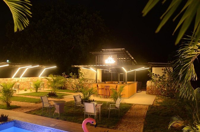Private Night Tour in Buggy with Party in Punta Cana - Who will enjoy this Punta Cana night tour?