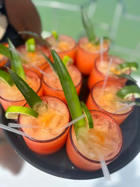 Private Party Boat Tour with Drinks and Snacks in Punta Cana - Key points at a glance