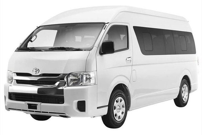Private Punta Cana Round-Trip Airport Transfer - The ride itself: cool, direct, and private