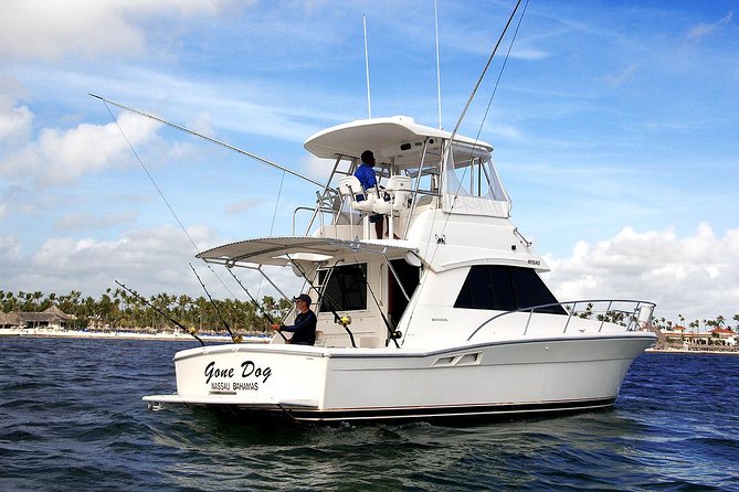 Private Punta Cana Six Hour Fishing Charter - What the boat day is likely to feel like