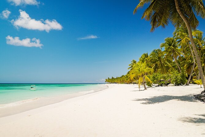 Private Saona Island Excursion - What the $990 private rate really buys you