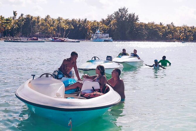 Private Speed Boat Experience with Snorkeling in Punta Cana - Dolphins and the question of wildlife handling