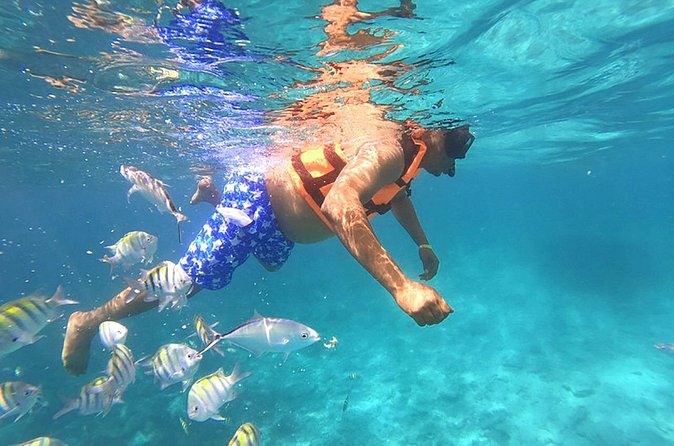 Private Speed Boat Experience with Snorkeling in Punta Cana - Private format, pickup, and timing