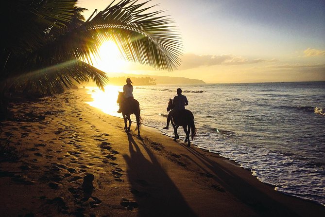Private Sunset Horseback Riding in punta cana beach - Leaving Punta Cana’s Resorts Behind