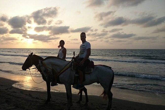 Private Sunset Horseback Riding in punta cana beach - Timing, Weather, and Refund Rules