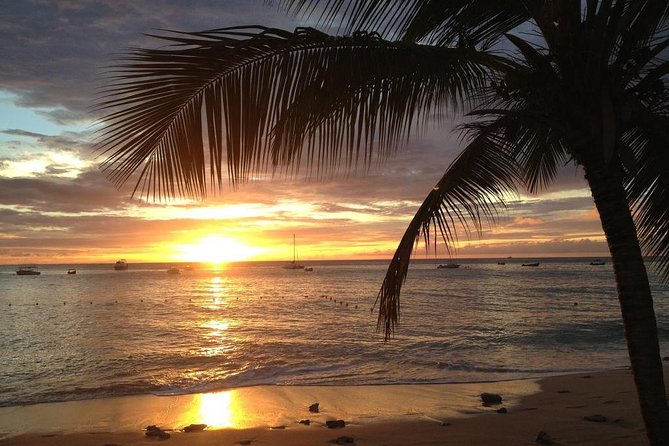 Private Sunset Horseback Riding in punta cana beach - What the Beach Portion Is Really Like