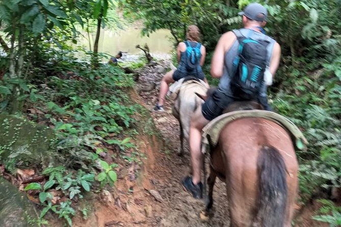 Private Tour in Miches with La Jarda Waterfall Experience - Why La Jarda Waterfall is the main event