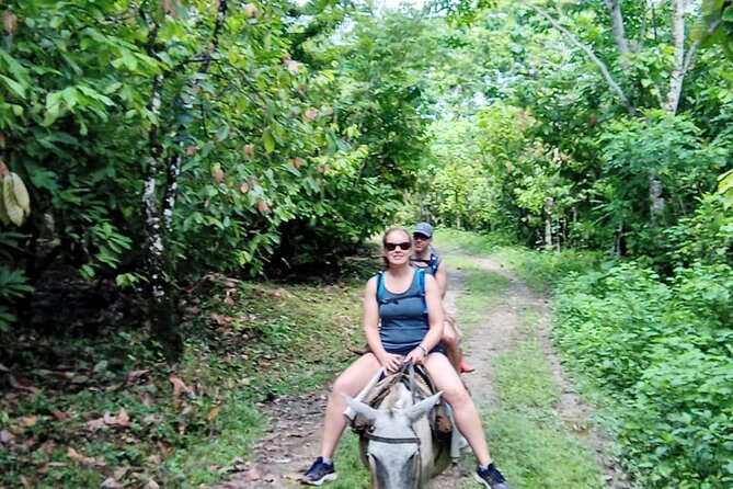 Private Tour in Miches with La Jarda Waterfall Experience - The early start and long road to Miches