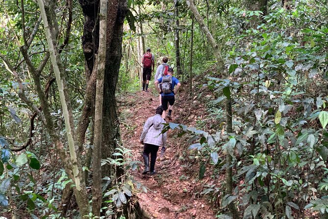 Private Tour in Miches with La Jarda Waterfall Experience - What the $180 price includes