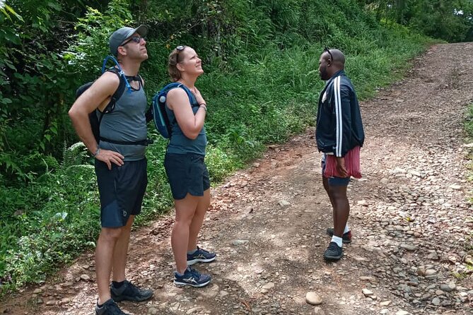 Private Tour in Miches with La Jarda Waterfall Experience - Guides, weather, and the practical details