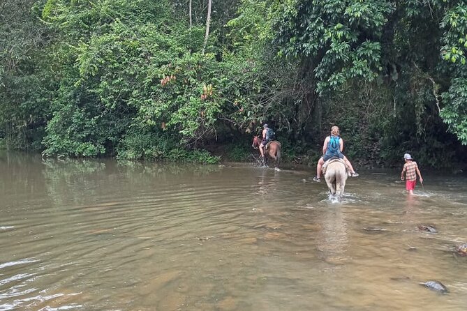 Private Tour in Miches with La Jarda Waterfall Experience - Hiking or riding toward the falls
