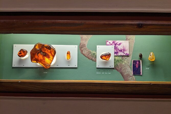 Private Tour of Puerto Plata by Classic Car - Amber at the Dominican Amber Museum