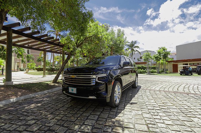 Private transfer from Bávaro Hotels to Punta Cana Airport - Airport meeting details for arrivals and return rides