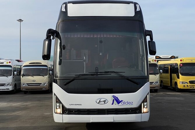 Private Transfer From or to Punta Cana Airport to hotels in Bávaro - Price and value for families and small groups