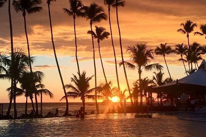 Private Transfer From Punta Cana Airport to Cap Cana, Cabeza de Toro and Bavaro - Why a private airport ride matters in Punta Cana