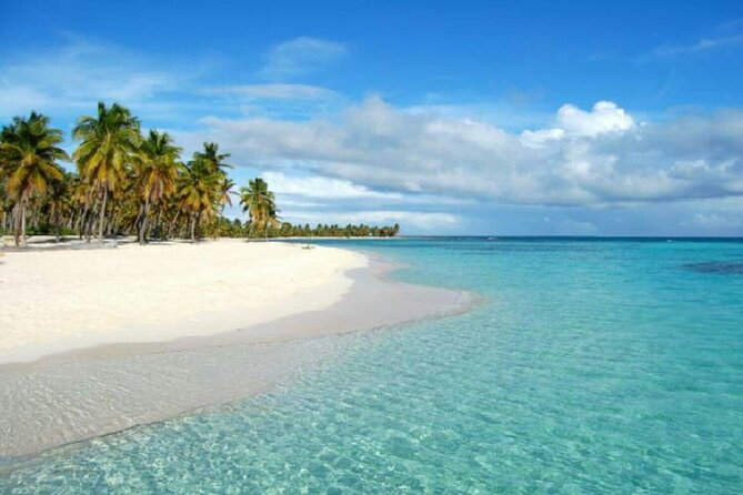 Private Transfer From Punta Cana Airport to Cap Cana, Cabeza de Toro and Bavaro - The private vehicle and group size