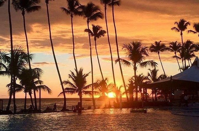 Private Transfer From Punta Cana Airport to Cap Cana, Cabeza de Toro and Bavaro - Who will get the most from this transfer