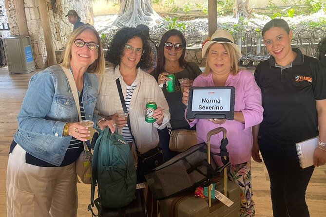 Private Transfer from Punta Cana Airport to Your Hotel - Group size, luggage, and comfort
