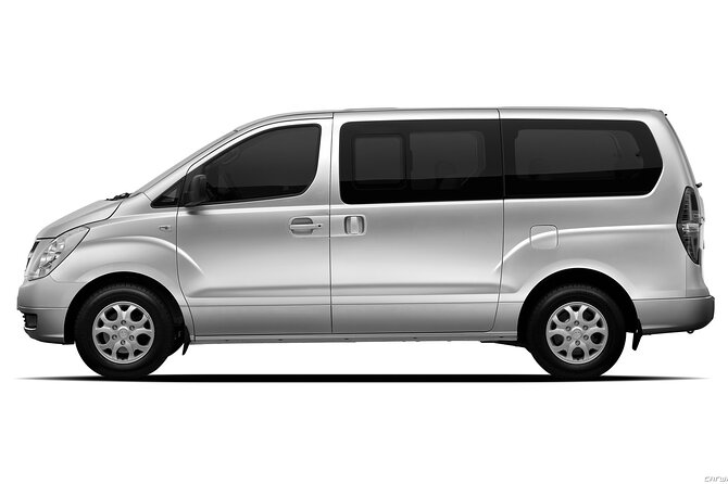 Private Transfer in Punta Cana from Airport and Hotels - Who should book this transfer?