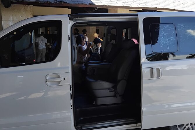 Private Transfer Punta Cana Airport to/from Bávaro hotels & zones - Who should book this transfer