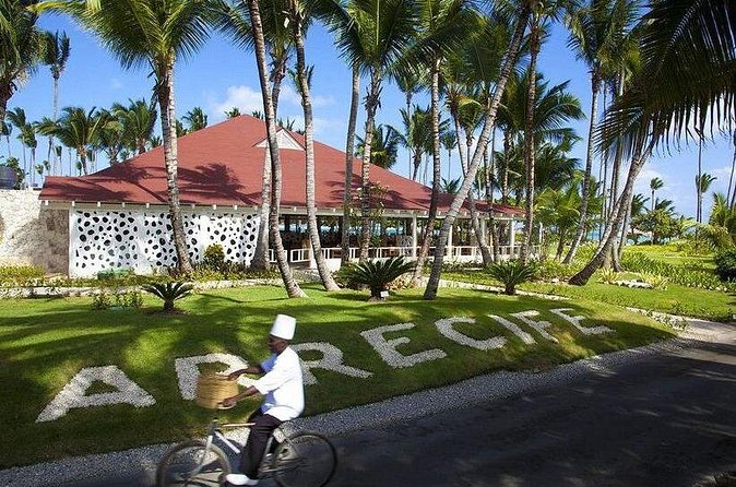 Private Transfer Punta Cana Airport to/from Grand Palladium Palace Punta Cana - What the SMS support adds