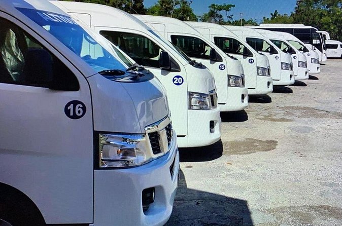 Private Transfers in PUNTA CANA AIRPORT - Choosing between a minivan, SUV, or bus