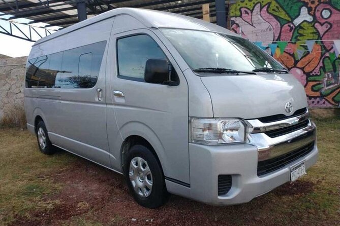 Private Transfers in PUNTA CANA AIRPORT - Why the return ride needs extra care