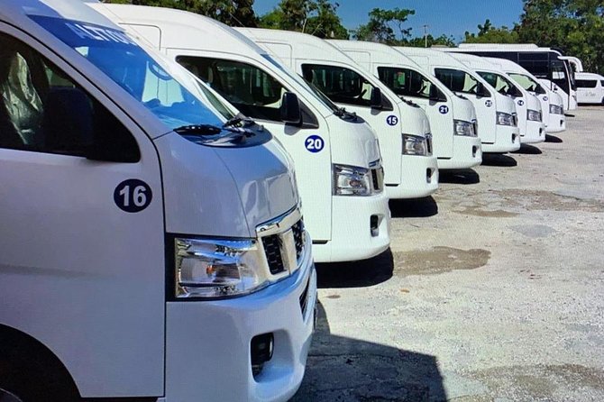 Private Transfers in PUNTA CANA AIRPORT - Booking rules that affect your value