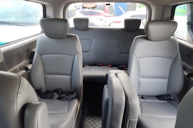 Private Transfers Transportation Airport (PUJ) to PuntaCana and Bavaro Hotels - Who should book this transfer?