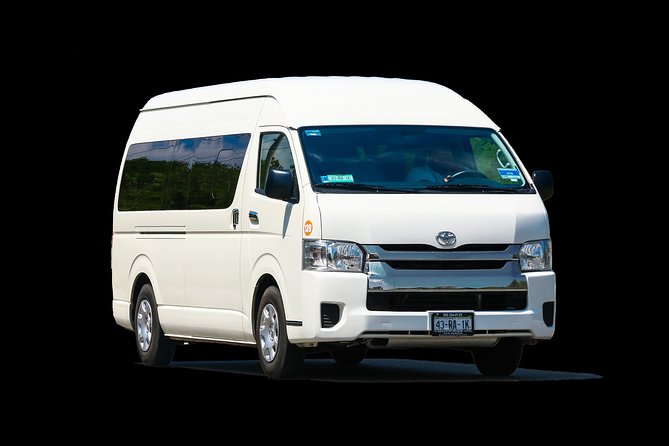 Private Transportation From To Airpot and Punta Cana Hotels (1-6) - Why the group price can work well