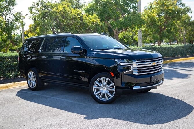 Private VIP Shuttle Service in Punta Cana - Booking details and cancellation rules