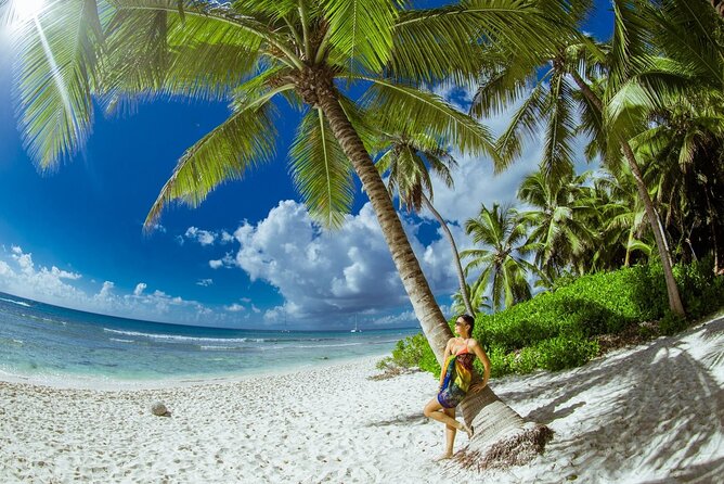 PRIVATE VIP tour Saona Island with Snorkeling, Starfish, Turtles - Key points at a glance