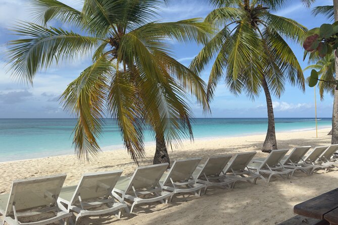 PRIVATE VIP tour Saona Island with Snorkeling, Starfish, Turtles - Mangroves and the chance to see turtles