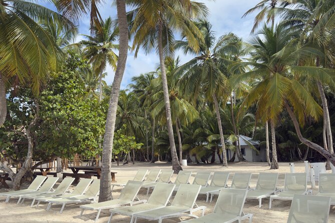 PRIVATE VIP tour Saona Island with Snorkeling, Starfish, Turtles - Who will enjoy this Saona day most?
