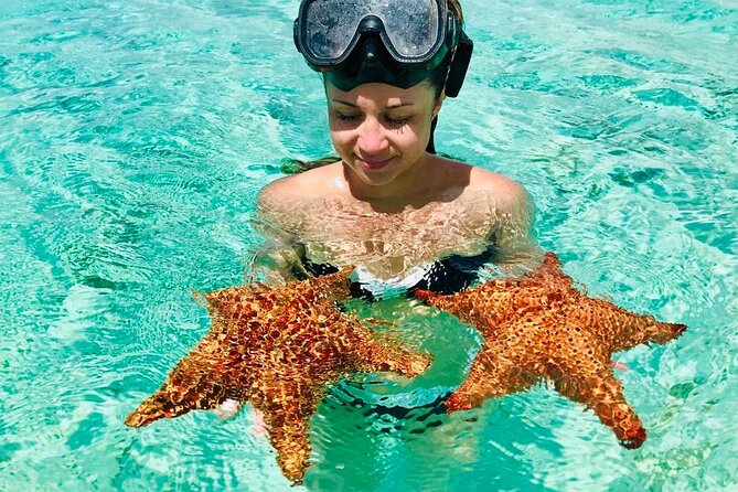 PRIVATE VIP tour Saona Island with Snorkeling, Starfish, Turtles - Five hours at Abanico Beach on Saona