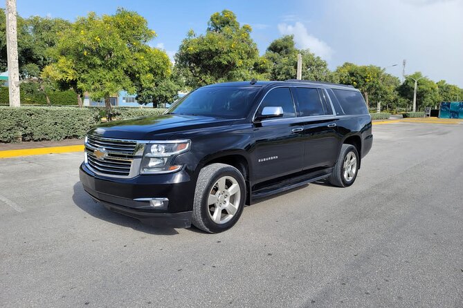 Private VIP Transfer From and To Punta Cana Airport - Who Should Book This Transfer?