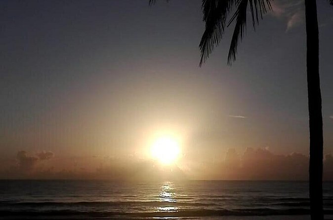 Professional surf lessons Dominican Republic, Cabarete, Encuentro - What intermediate and advanced surfers can work on