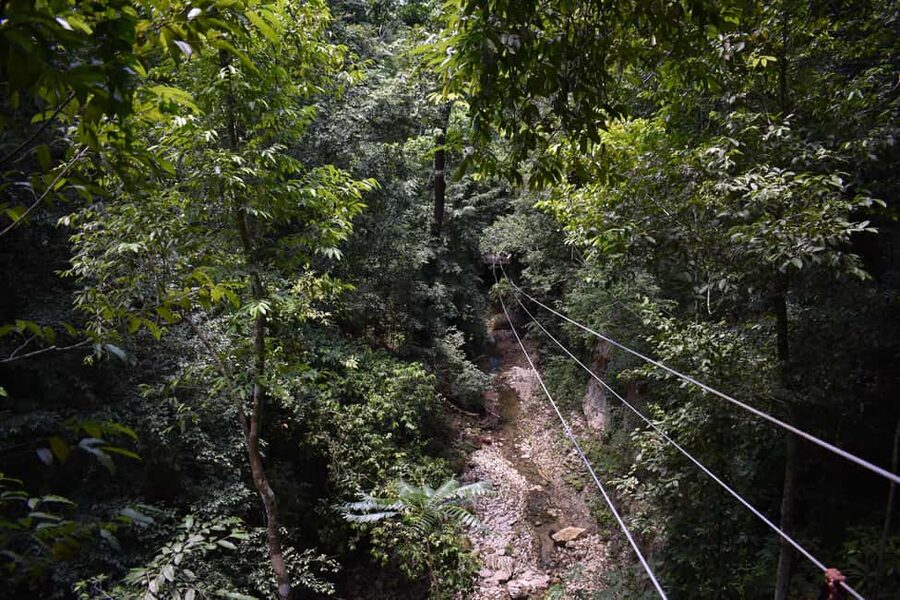 Puerto Plata/Amber Cove: Zipline and Waterfalls with Lunch - Five ziplines with views instead of a single quick ride
