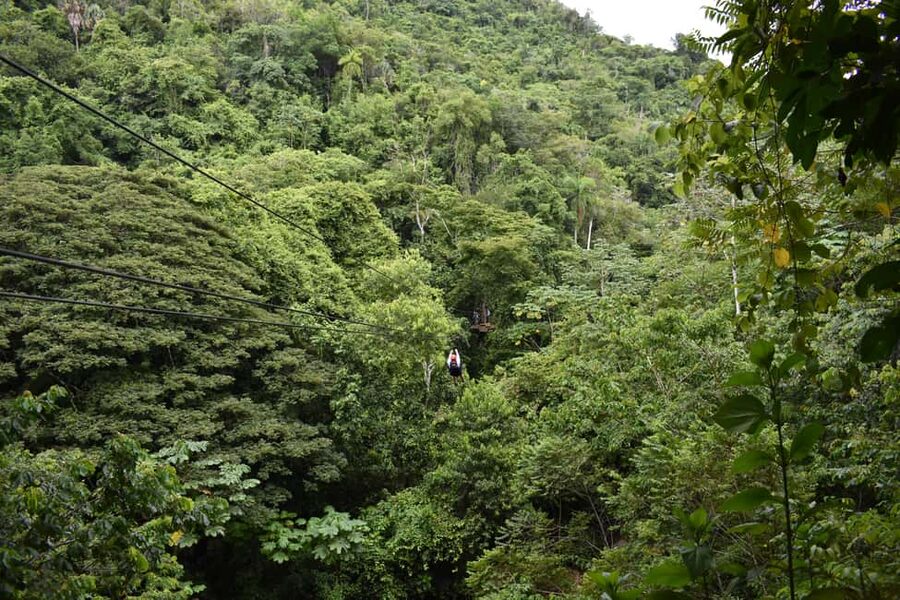 Puerto Plata/Amber Cove: Zipline and Waterfalls with Lunch - Guides, language, and the pace of the group