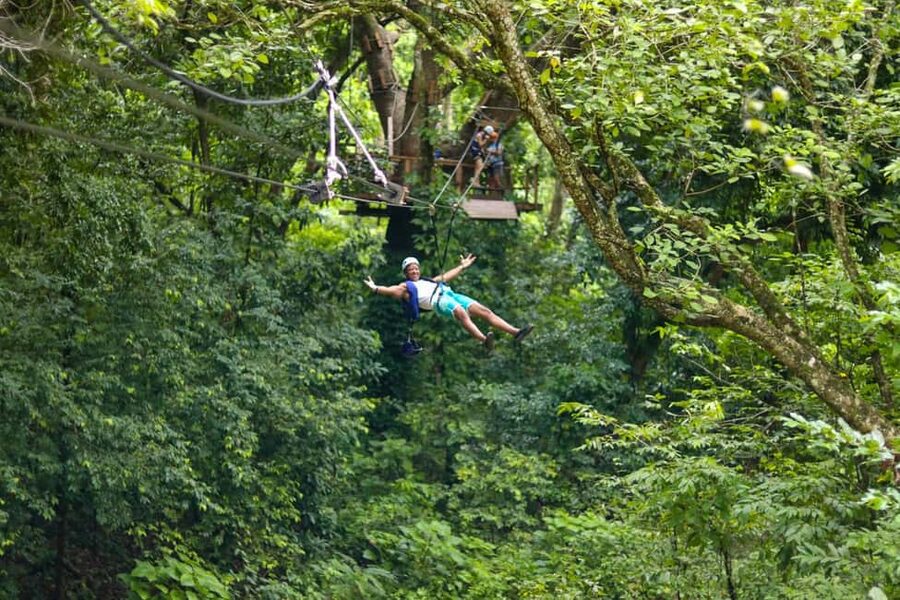 Puerto Plata/Amber Cove: Zipline and Waterfalls with Lunch - A 30-minute rainforest hike earns the first zipline
