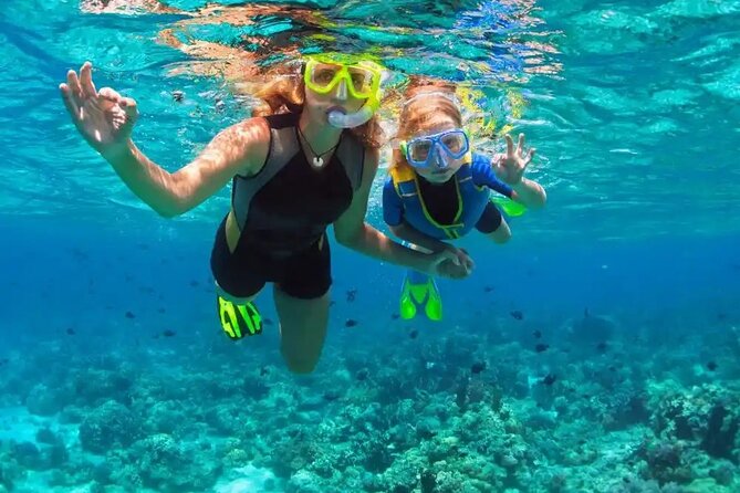 Puerto Plata Catamaran Cruise with Snorkeling, BBQ & Open Bar - Is $99 a Good Value?