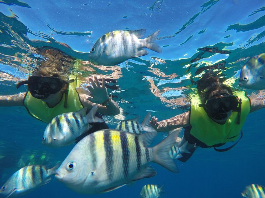 Puerto Plata: Catamaran Snorkeling Trip w/ Buffet & Open Bar - Lunch, swimming, and the second water stop