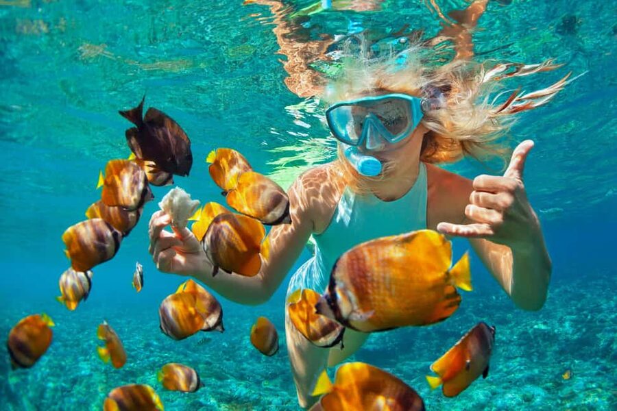 Puerto Plata: Catamaran Snorkeling Trip w/ Buffet & Open Bar - A spacious catamaran with room to settle in