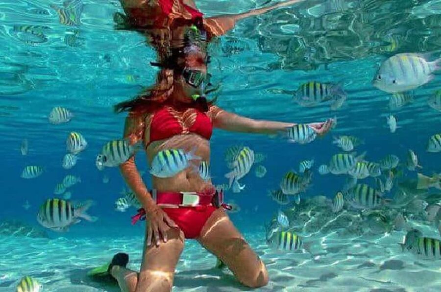Puerto Plata: Cayo Arena Tour with Snorkeling and Mangroves - Key points to know before you book