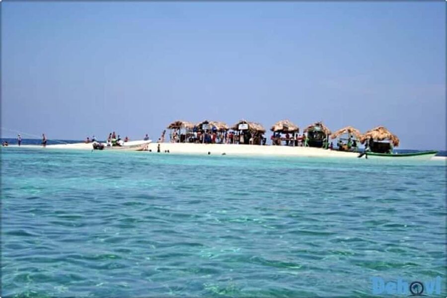 Puerto Plata: Cayo Arena Tour with Snorkeling and Mangroves - Why Cayo Arena makes a strong day trip